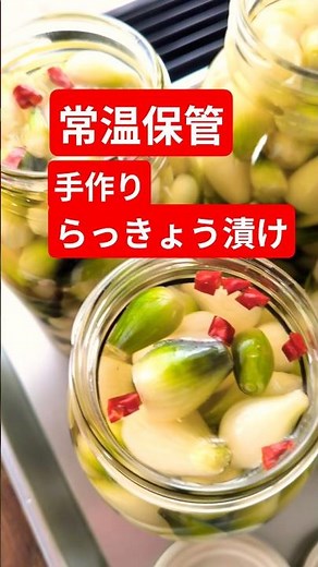 【常温保存できる✨ らっきょ漬け作り方】#vlog #家庭菜園 #料理 #無添加 #簡単レシピ #らっきょ#保存食 #カレー#調理#自家製#手作り#japan #食事#食べ物