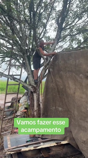 Acampamento ao ar livre: passo a passo para começar