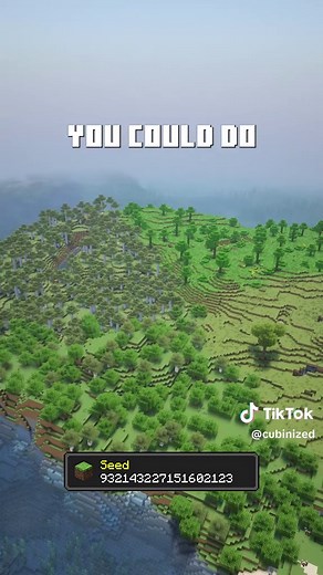 The PERFECT ISLAND SEED For Playing With Friends 🏝️ Minecraft Bedrock/Java 26.1 • #minecraft #minecraftseeds