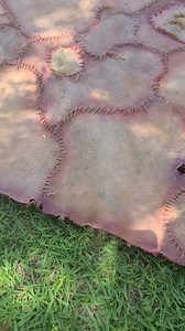 48K views · 531 reactions | Dark Seed Creations on Reels | Facebook