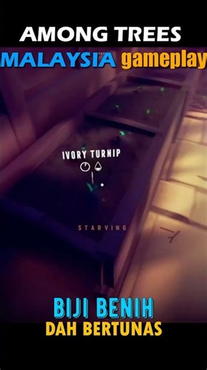 Semaian Dah Bertunas 🌱 Detik Paling Menggembirakan | Among Trees #amongtrees #berkebun #semaian