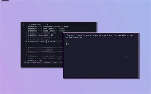picom简介 在picom中启用丝滑的窗口动画