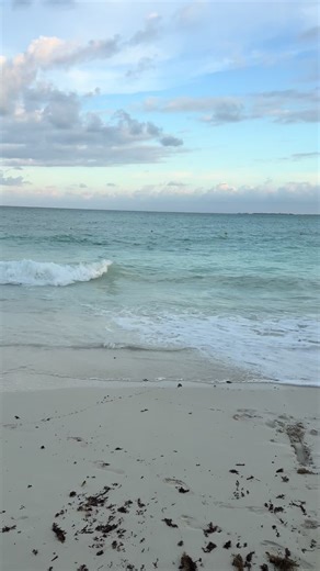 Tiburones en Cancún: Un Encuentro Increíble