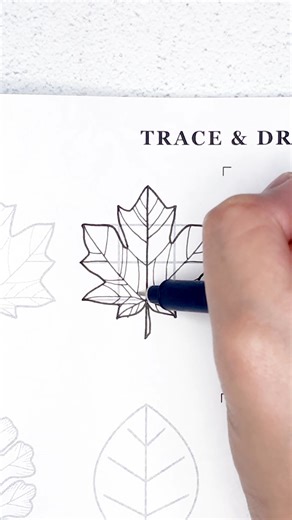 Aska Hall on Instagram: "How to draw a red maple leaf 🍁 The best way I could figure out"