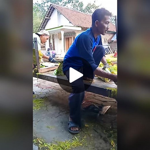 How to Prepare Leafy Vegetables: Step-by-Step Guide