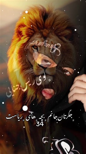 ﮼ریاست‌34‌🥷🏽❤️🥷🏽