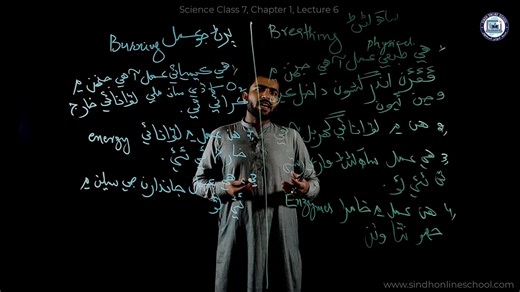 10K views · 398 reactions | Difference between breathing and burning| Science Class 7| Chapter 1| Lecture 7| Sindh Online School وڌيڪ وڊيو سبقن لاءِ هيٺ ڏنل لنڪ تي ڪلڪ ڪري اسانجو يوٽيوب چينل سبسڪرائب ڪريو www.youtube.com/sindhonlineschool | Sindh Online School | Facebook