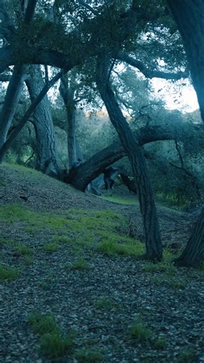 SEO Aesthetic | Summit Reveal (part 3/3) it wasn’t vanity. it wasn’t followers. the summit was page one — the real milestone. 🏆 this is what ranking... | Instagram