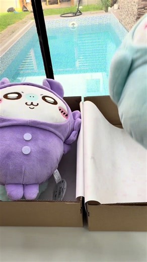 Pedidos de Peluches Personalizados para Arequipa