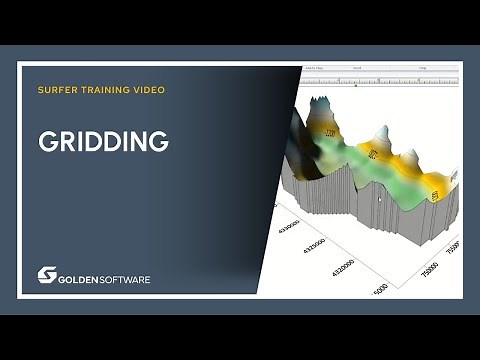 Surfer Gridding Training Video