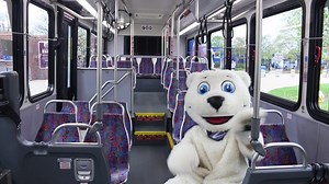 5.1K views · 78 reactions | Watch as our polar bear mascot zooms to...