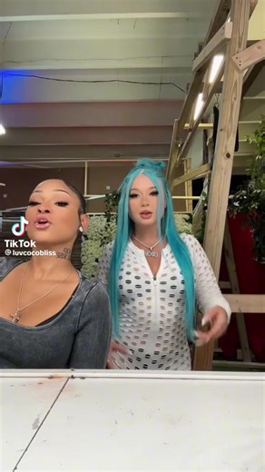 Understanding the Coco Bliss Fan Phenomenon