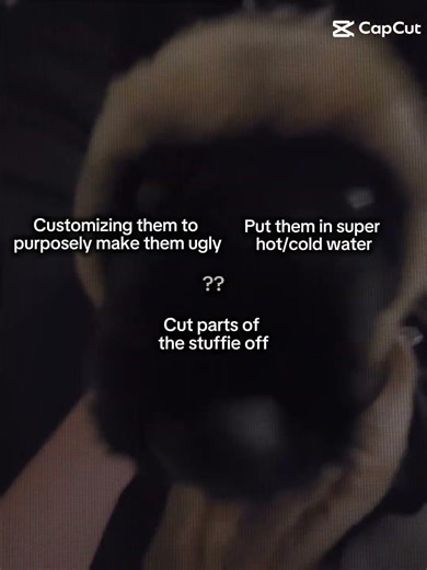 Things I will nvr do as an essa handler ! 🦮