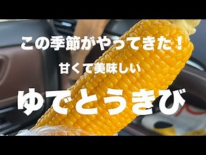 甘くて美味しい 竹村農園のゆでとうきび（とうもろこし）