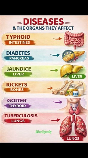Diseases & The Organs They Affect 🧠 6 Diseases & The Organs They Damage ⚠️ #shorts