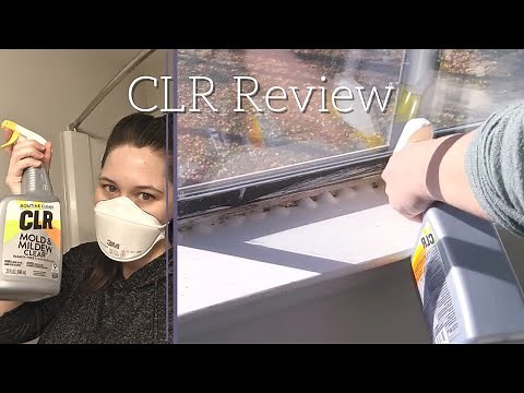 CLR Mold & Mildew Clear Review // Moldy Apartment Fixes