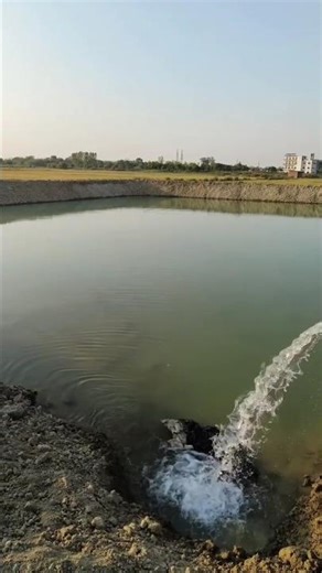 💯Fish Farming Secret🚸talab mein Spawn Dalne🚮Se Pehle kaunsi dava dalen⁉️Full Medicine♻️Process#fish