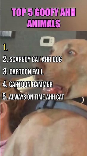 TOP 5 Goofy Ahh Animals! 😂💀😭