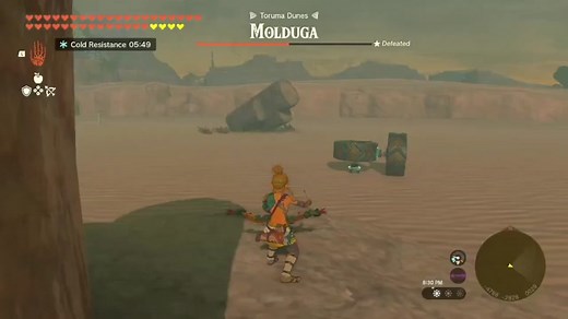 The molduga thumper. #zelda #tearsofthekingdom #dune