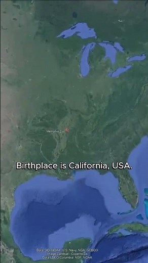 Jeff Buckley's Grave. Rest in peace.