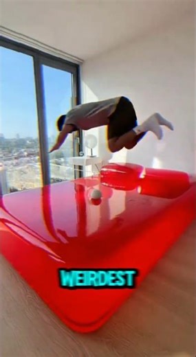 This is an insane Jelly Bed