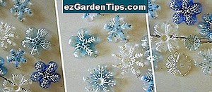 Hechos del árbol de la mostaza 🌱 Tips Jardineros - Es.ezGardenTips.com