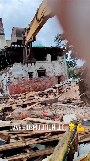 Dave's Demolition LLC: Pasión por Excavadoras