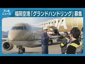 グランドハンドリング 航空機の運用に欠かせない担い手 社会人が職場見学