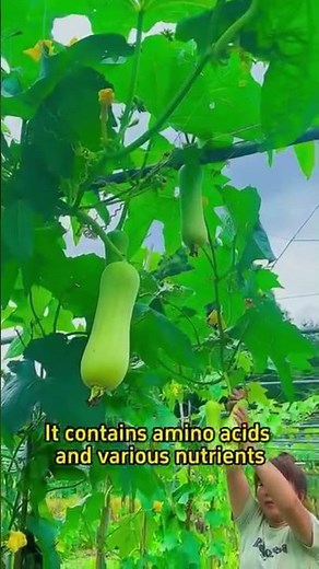 Discover How to Make Natural Fertilizer Using Eggshells for Explosive Plant Growth!.