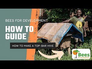 How to Make a Top Bar Hive