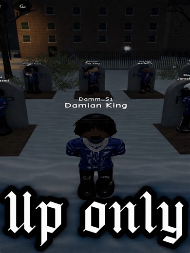 The New Montage: South Bronx Highlights