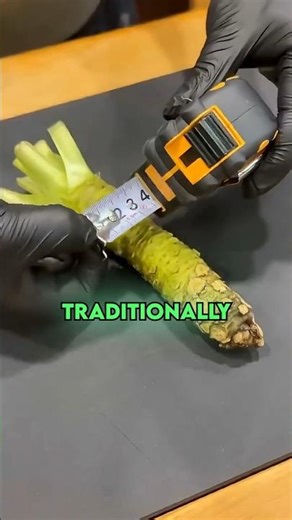 Why Real Wasabi Costs $300 a Kilogram! (The Fake Sushi Secret)