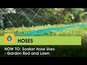 How to: Soaker hose uses - garden bed and lawn
