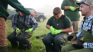 13K views · 174 reactions | Duck banding has wrapped up across...
