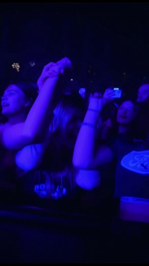 Rainbow Kitten Surprise on TikTok