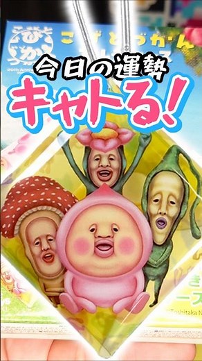 Chal 515【Kobito Dukan】Kobito Dukan Multi-Case / "Kobito Dukan 20th Anniversary Design" Challenge【...