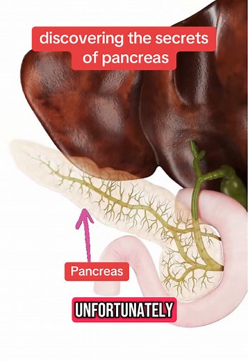 Human Body Blueprint on TikTok