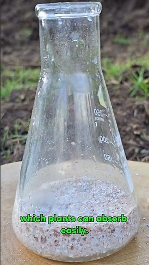 How to Turn Eggshells into Powerful Plant Fertilizer?