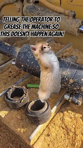 Michael Cole on Instagram: "Just #grease the machine! #heavyequipment #bluecollar #mechanic #diesel 🧪@hotshotssecret discount code: Mikec 💙sinisterdiesel discount code: slowaf12v 🐫@camelcitymill discount code: Mike10 🥾 @bruntworkwear discount code: SLOWAF10 🇺🇸@armed_american_supply discount code: slowaf_12v 🕶@coeyewear discount code: mikec10 🔩@magic.creeper discount code: MICHAELCOLE25 📹@fortishd discount code: MIKEC10 🛻 @powerdrivendiesel discount code: MIKE10"