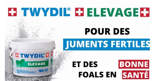 Twydil explique le programme spécial élevage pour la fertilité des juments et la santé des nouveau-nés