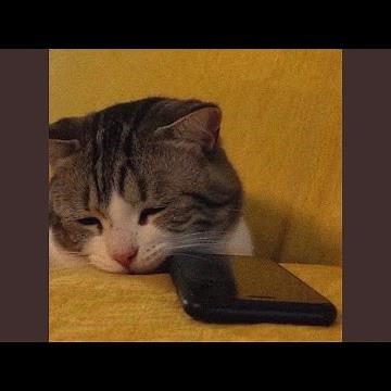 stalk ur socials (slowed)