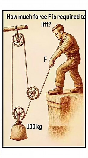 How Much Force Is Needed to Lift 100kg? 🤔 | Pulley System Physics Explained #shortvideo #shorts