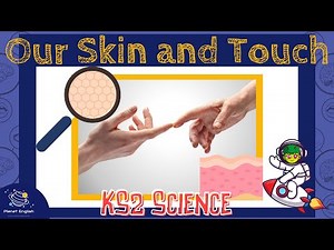 Our Skin and the Sense of Touch | KS2 Science | STEM and Beyond