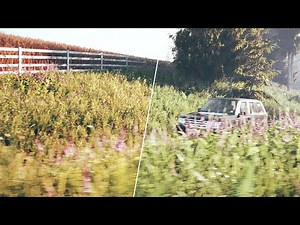 FOREST PACK 7 | Colour Correct Scatters