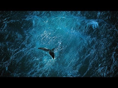 Planète Océan [FR] Yann Arthus-Bertrand & Michael Pitiot - le film Full HD