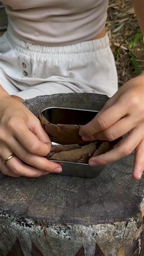 The many uses of tree resin | Transformazing