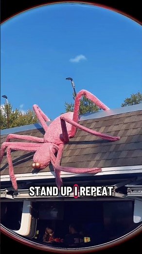 Silver Spring House! Must check it out! Good food.