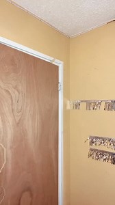 9.2K views · 292 reactions | 癩 brown癩 vs 李 Orange 李￼ | Kai Hebert | Facebook