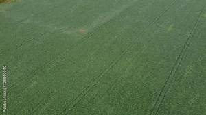 crop fields in the autumn