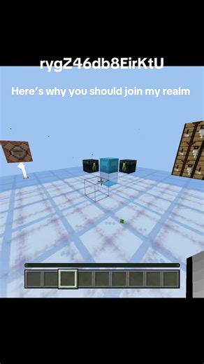 Voided SMP realm #minecraftrealm #minecraft #minecraftmemes #bedrockrealm #fyp